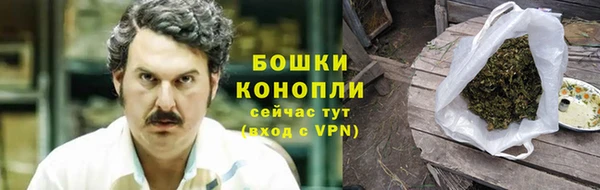 ешки Аркадак