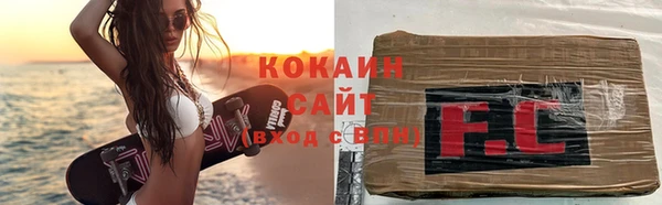 ешки Аркадак