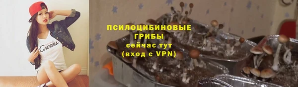 ECSTASY Алзамай