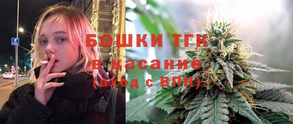 ешки Аркадак