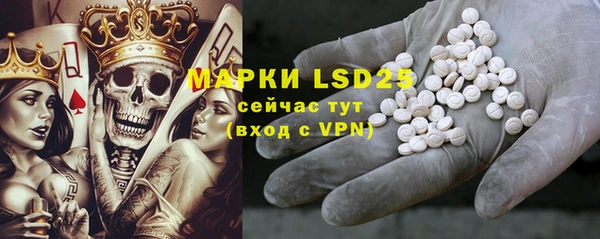 ECSTASY Алзамай