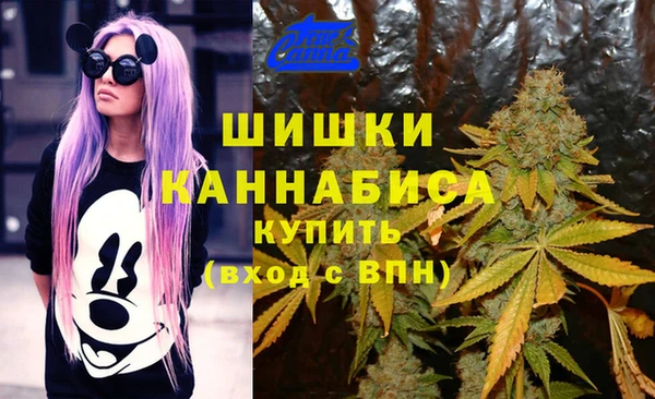 экстази Алексин