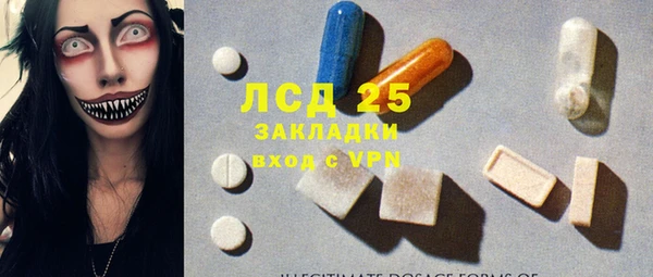 ешки Аркадак