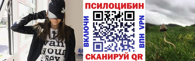 Псилоцибиновые грибы GOLDEN TEACHER  Шадринск 